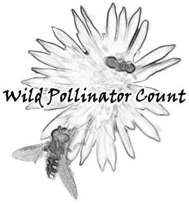 Wild Pollinator Count