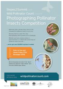 Wild pollinator photography competition flyer