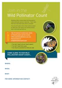 Wild Pollinator Count event flyer - custom